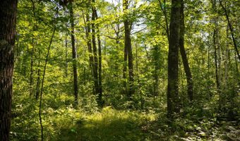 TBD 359th Ln, Aitkin, MN 56431