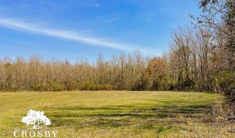 0 Plowden Mill Rd, Alcolu, SC 29001
