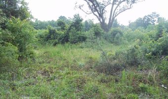 2200 Gillionville Rd, Albany, GA 31707