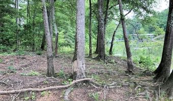 LOT 4 SHELBY SHORES, Crane Hill, AL 35053