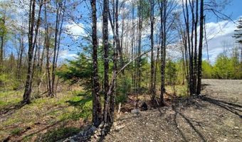 Lot # 2 Cone Road, Amity, ME 04471