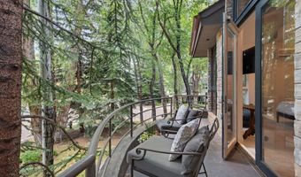 736 W Smuggler St, Aspen, CO 81611