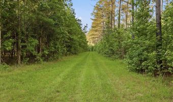 425 Rose Hill Rd, Bentonia, MS 39040