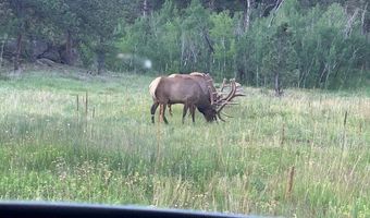 TBD County Road 59, Allenspark, CO 80510