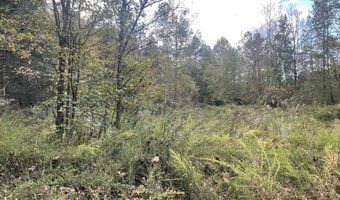 9999 Hooker Branch Rd, Barbourville, KY 40906