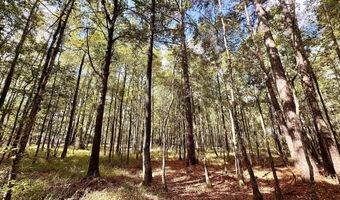 Eugene Ward Road, Adrian, GA 31002