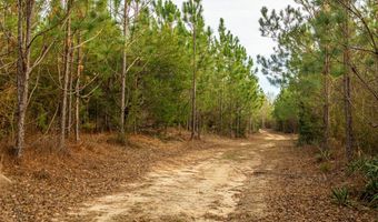001 Old Stage Rd, Atmore, AL 36502