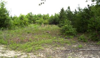 118 LR 27, Ashdown, AR 71822