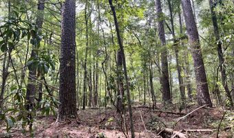 Brock Cir, Brandon, MS 39042