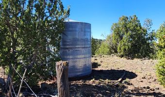 85 N 8522, Concho, AZ 85924