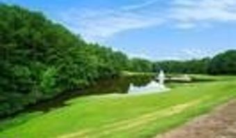 9005 Old Etowah, Ball Ground, GA 30107
