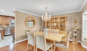62 Netherwood Dr, Albertson, NY 11507