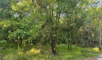NE RIVER RIDGE AVENUE, Arcadia, FL 34266