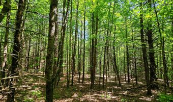 1905 Camp Munn Rd, Bradford, VT 05033