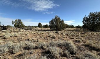 116 B NE Raging Crab Rd, Ash Fork, AZ 86320
