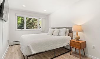 100 E Dean St 1D, Aspen, CO 81611