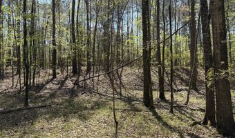 SW Auburn Drive, Bogue Chitto, MS 39629