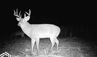 560 Th Ave, Albia, IA 52531