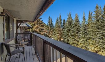 650 S Monarch St 7, Aspen, CO 81611