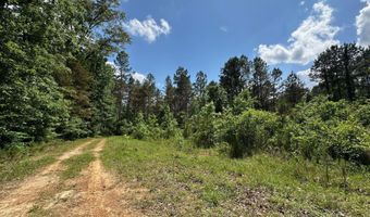 1 Whitmire Rd, McCool, MS 39108