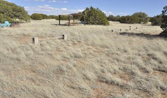 12 County Rd N8543, Concho, AZ 85924
