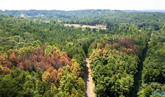 62 Beautiful Ac Toney Dr, Altoona, AL 35952