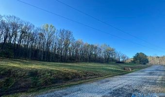 741 Poplar Springs Trl, Ashville, AL 35953