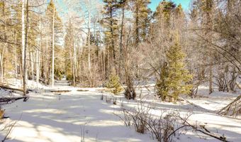 45 And 46 Sacramento Dr, Angel Fire, NM 87710