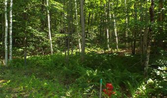 5 Squam River Lndg, Ashland, NH 03217