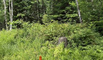 1386 Clif Reynolds Rd, Cambridge, VT 05444