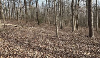 Highway 105, Baldwin, GA 30511