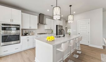 226 Williams Grove Ln, Apex, NC 27523