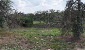 1228 Morning Glory Ln, Adkins, TX 78101