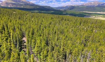 2221 Kootchie Kootchie Rd Lot 0, Alma, CO 80420
