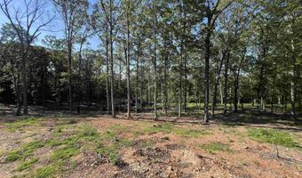 4802 Reed Ln, Alexander, AR 72002
