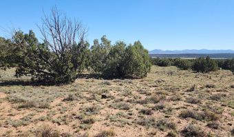 85 N 8522, Concho, AZ 85924