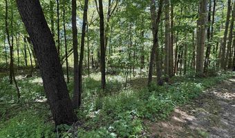 ARROWHEAD ROAD lot 16, Amherst Junction, WI 54407