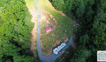 4265 Goosepoint Rd, Bassett, VA 24171