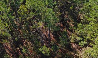 0 Hwy 8, Aberdeen, MS 39730