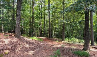 3204 Reavis Mountain Rd, Ball Ground, GA 30107