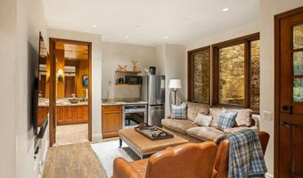 303 W Hopkins Ave, Aspen, CO 81611