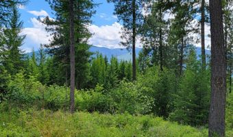 Bootlegger Lane- Parcel 1, Bonners Ferry, ID 83805