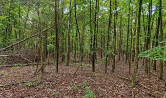 12712 Cranfield Rd, Birchwood, TN 37308