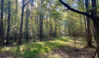0 Lloyd Mill Rd, Andalusia, AL 36421