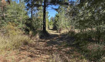 25001 Highway 112, Bay Minette, AL 36507