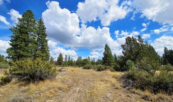 Swan Drive 16 & 17, Bonanza, OR 97623