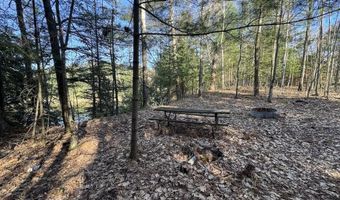 V/L Wildwood Road lot 9, Alger, MI 48610