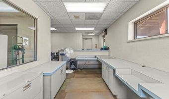 16136 White Ave, Allen Park, MI 48101
