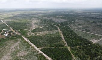 000 County Road 173, San Diego, TX 78332