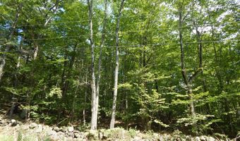 Lot 6 Maplecrest Road, Parsonsfield, ME 04047
